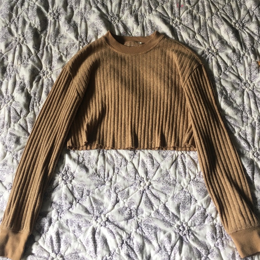 Pacsun cropped sweater